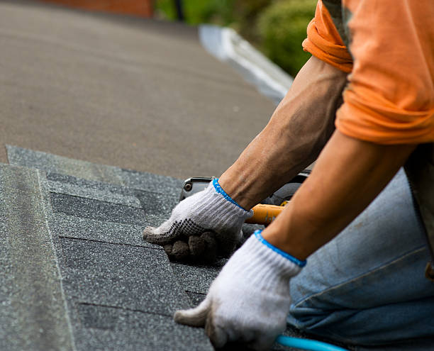 Best Storm Damage Roof Repair  in Minonk, IL
